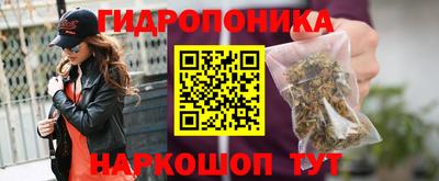 стафф Лесосибирск