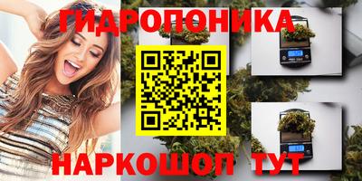 стафф Лесосибирск