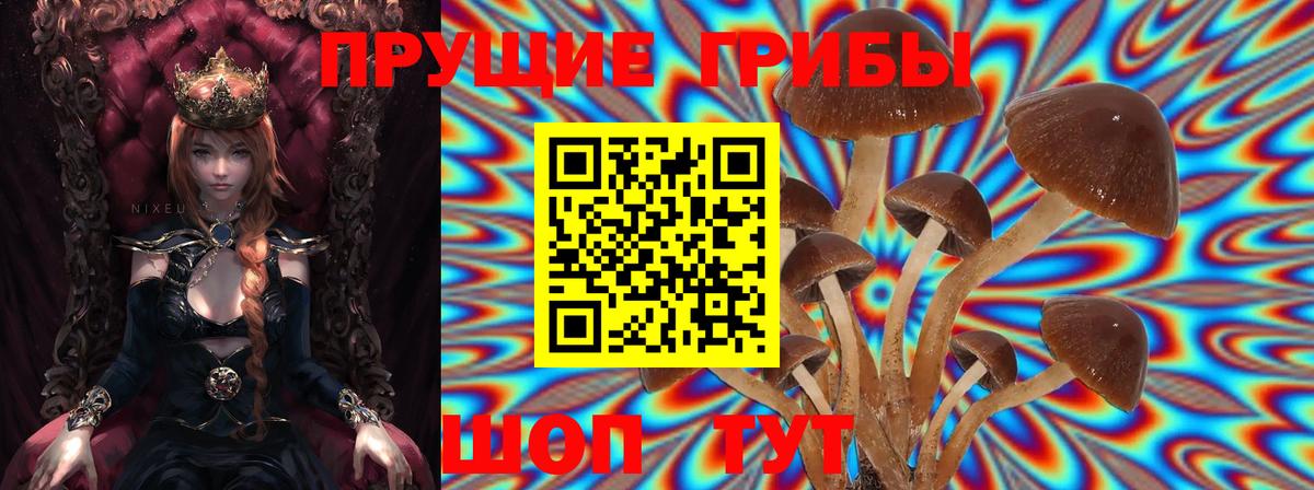 наркошоп  Вход с VPN  Избербаш  Галлюциногенные грибы Cubensis 