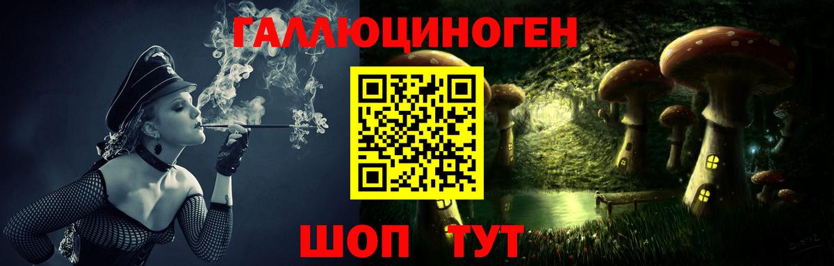 Псилоцибиновые грибы Cubensis Избербаш