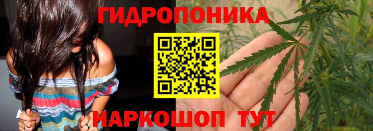 Бошки марихуана семена  Вход с VPN  Конопля тримм  Избербаш 